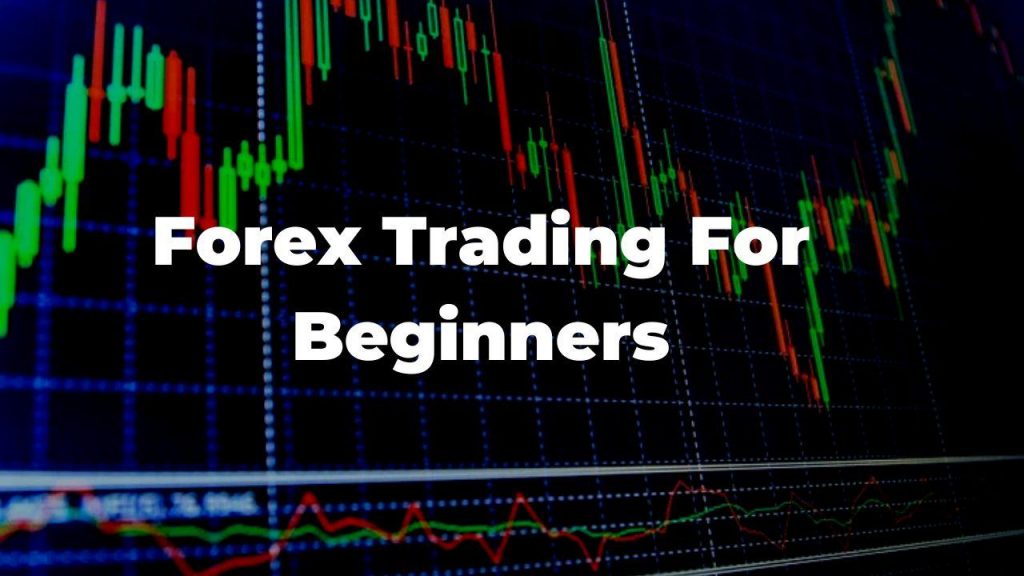 What Does Forex Trading Mean for Beginners?