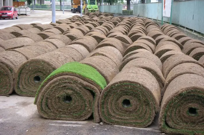Importance of Turf and Sod Companies