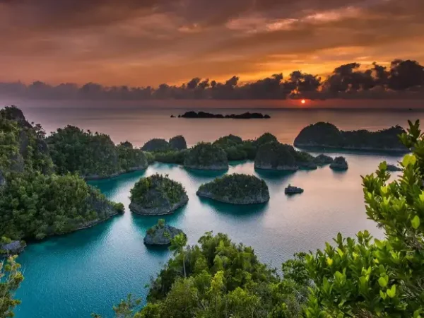 10 Amazing Tours in Raja Ampat Rich in Marine Biota