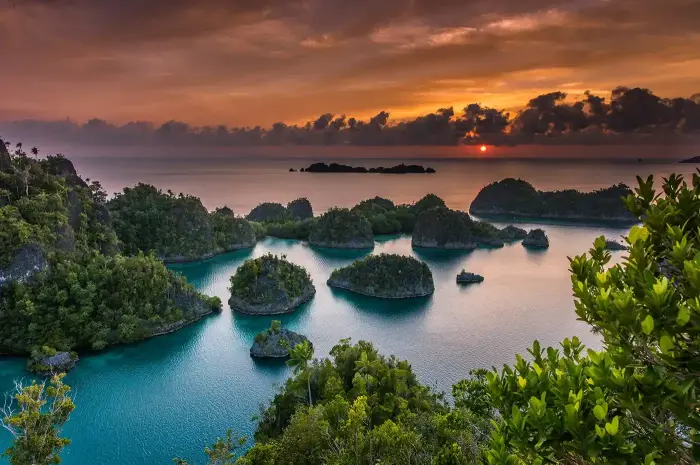 10 Amazing Tours in Raja Ampat Rich in Marine Biota